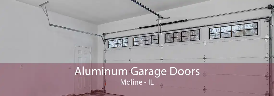 Aluminum Garage Doors Moline - IL