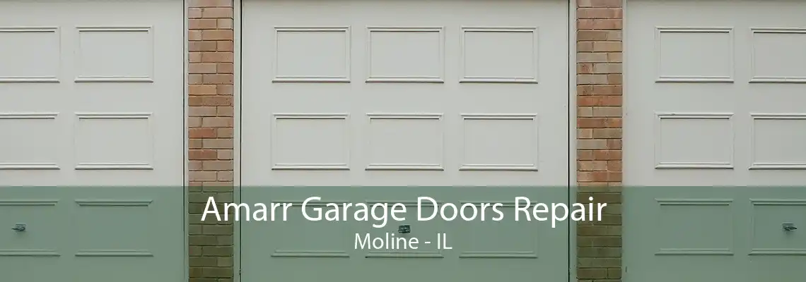 Amarr Garage Doors Repair Moline - IL