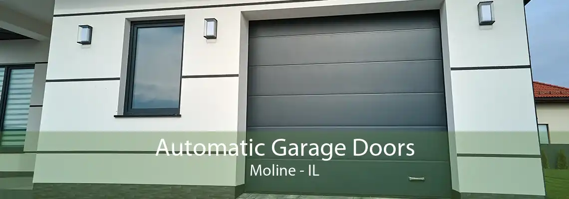 Automatic Garage Doors Moline - IL