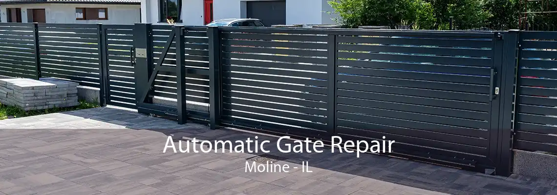 Automatic Gate Repair Moline - IL