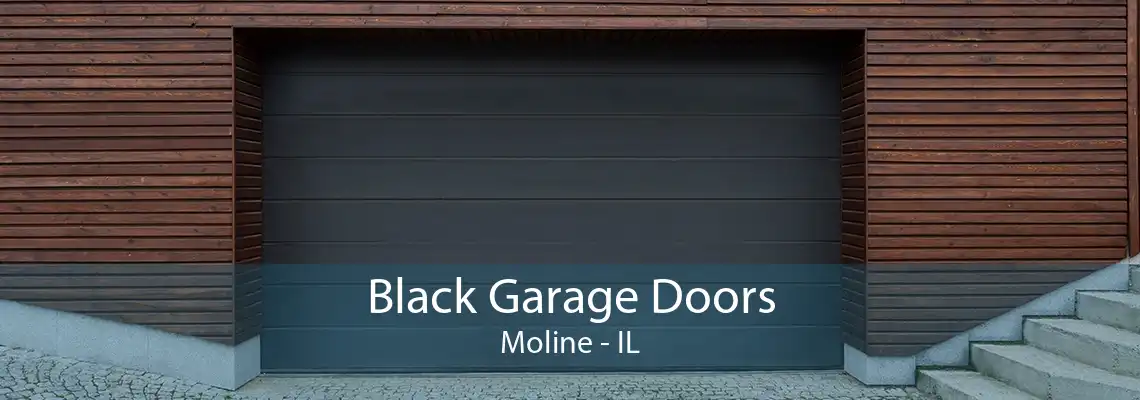 Black Garage Doors Moline - IL