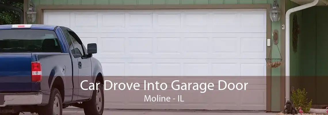 Car Drove Into Garage Door Moline - IL