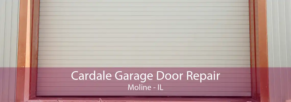 Cardale Garage Door Repair Moline - IL