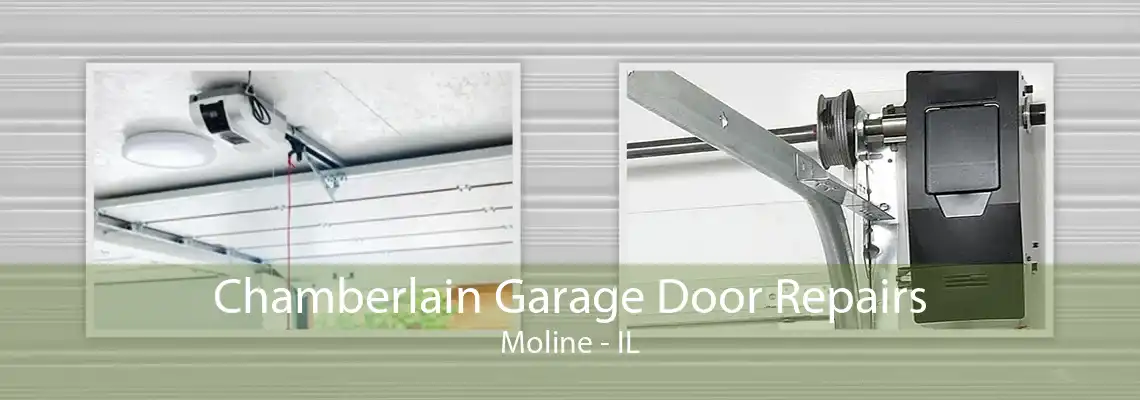 Chamberlain Garage Door Repairs Moline - IL