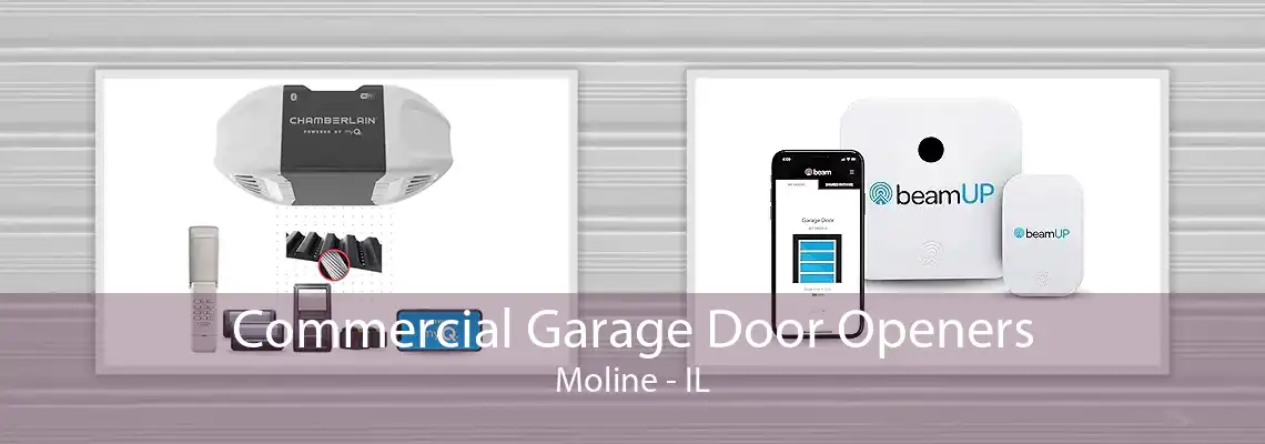 Commercial Garage Door Openers Moline - IL