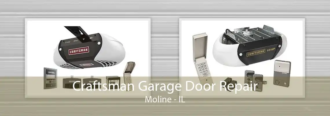 Craftsman Garage Door Repair Moline - IL