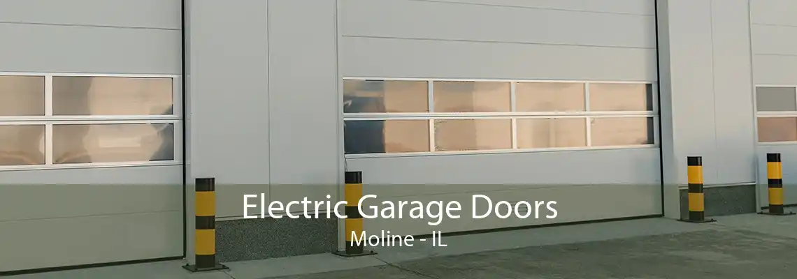 Electric Garage Doors Moline - IL