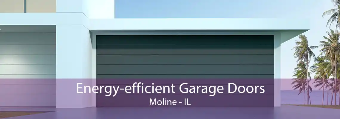 Energy-efficient Garage Doors Moline - IL