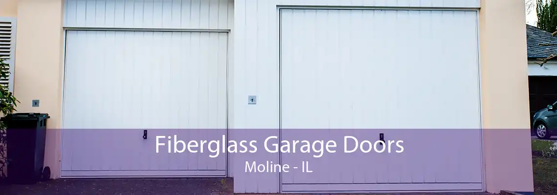 Fiberglass Garage Doors Moline - IL