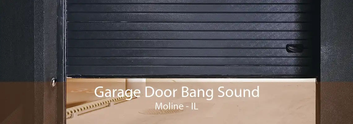 Garage Door Bang Sound Moline - IL