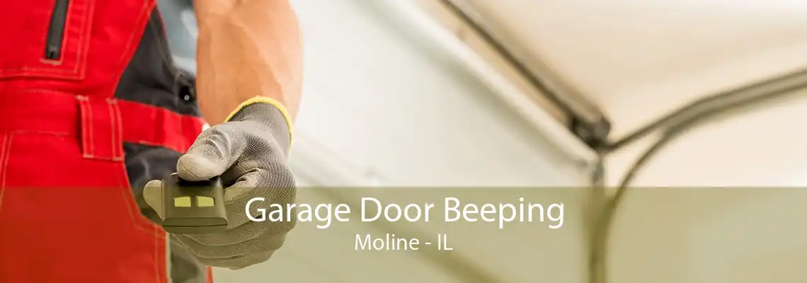 Garage Door Beeping Moline - IL