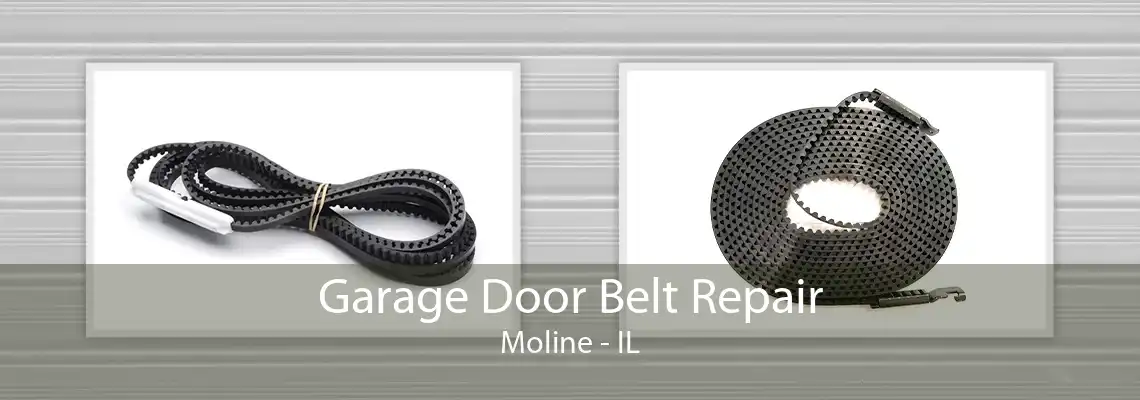 Garage Door Belt Repair Moline - IL