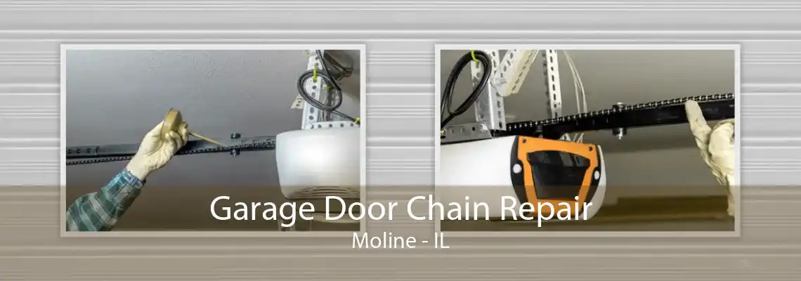 Garage Door Chain Repair Moline - IL