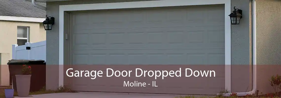 Garage Door Dropped Down Moline - IL