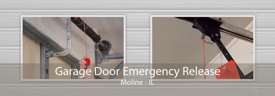 Garage Door Emergency Release Moline - IL