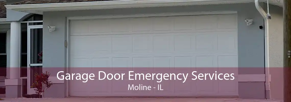 Garage Door Emergency Services Moline - IL