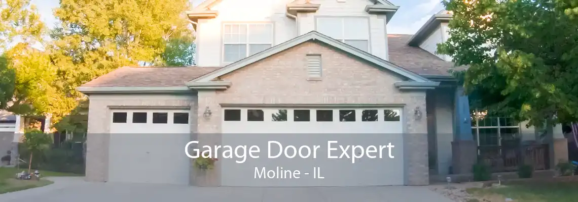 Garage Door Expert Moline - IL