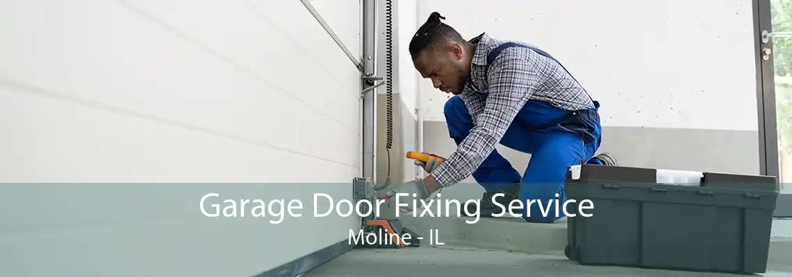 Garage Door Fixing Service Moline - IL