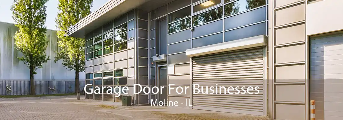 Garage Door For Businesses Moline - IL