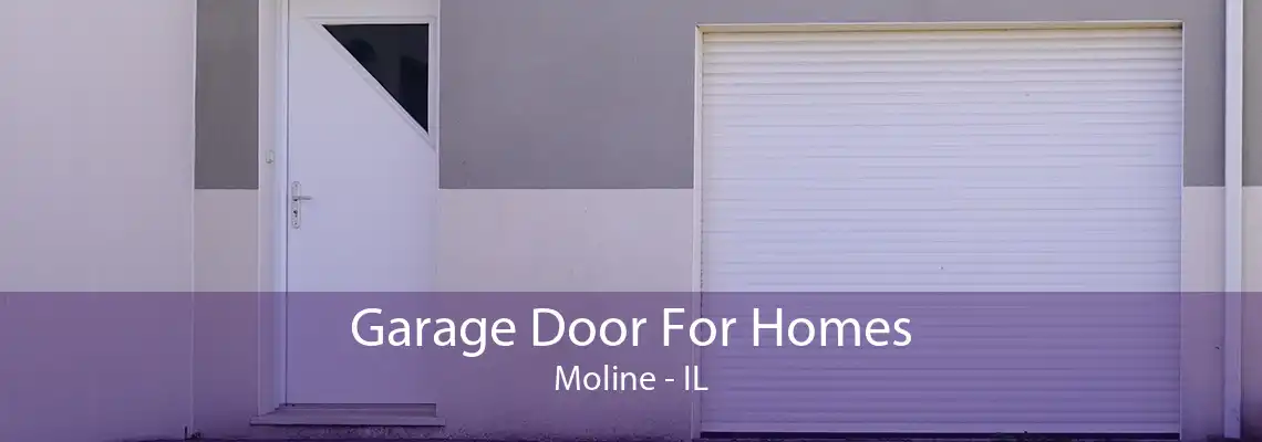 Garage Door For Homes Moline - IL