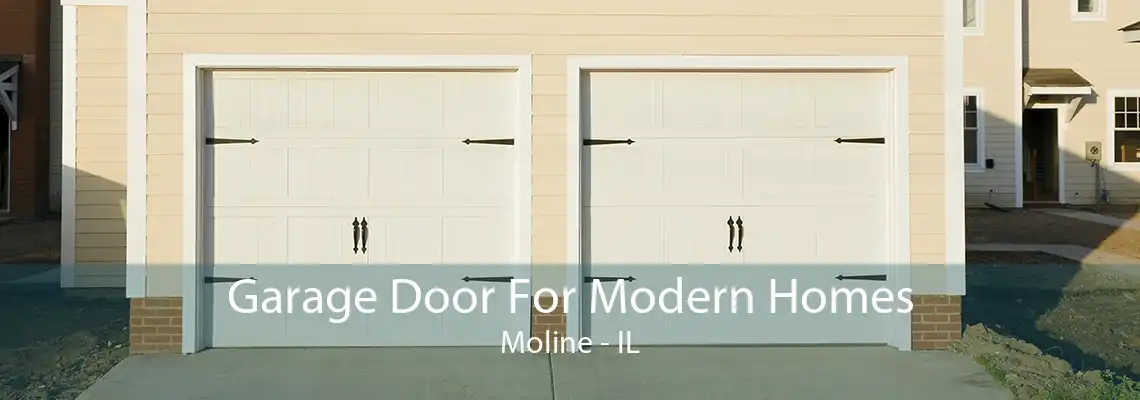 Garage Door For Modern Homes Moline - IL