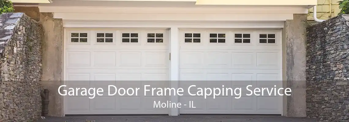 Garage Door Frame Capping Service Moline - IL