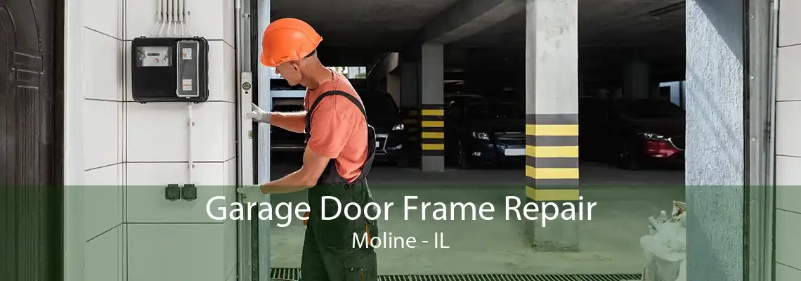 Garage Door Frame Repair Moline - IL