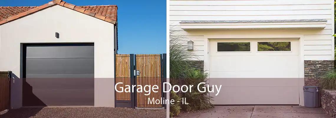 Garage Door Guy Moline - IL