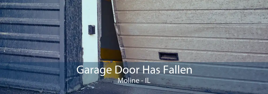 Garage Door Has Fallen Moline - IL