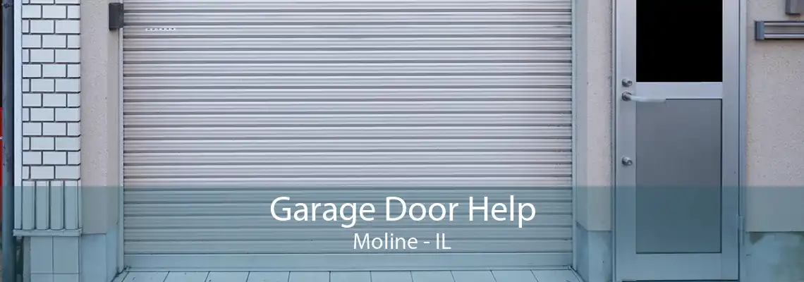 Garage Door Help Moline - IL