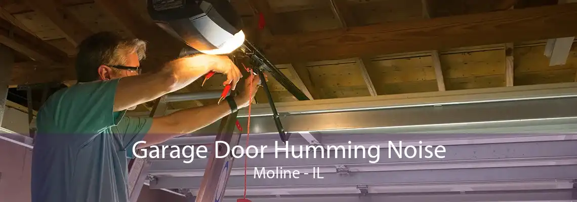 Garage Door Humming Noise Moline - IL