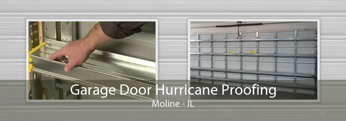 Garage Door Hurricane Proofing Moline - IL