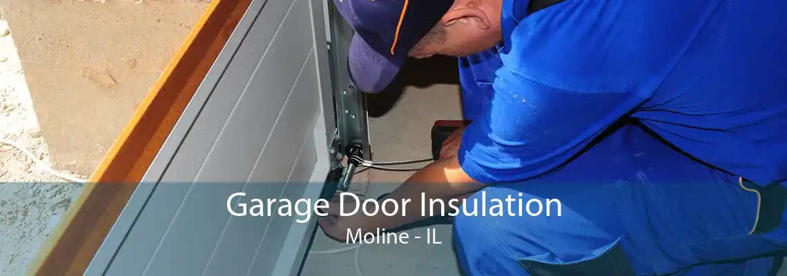 Garage Door Insulation Moline - IL