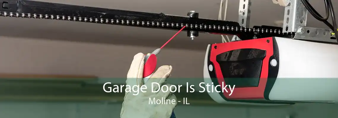 Garage Door Is Sticky Moline - IL