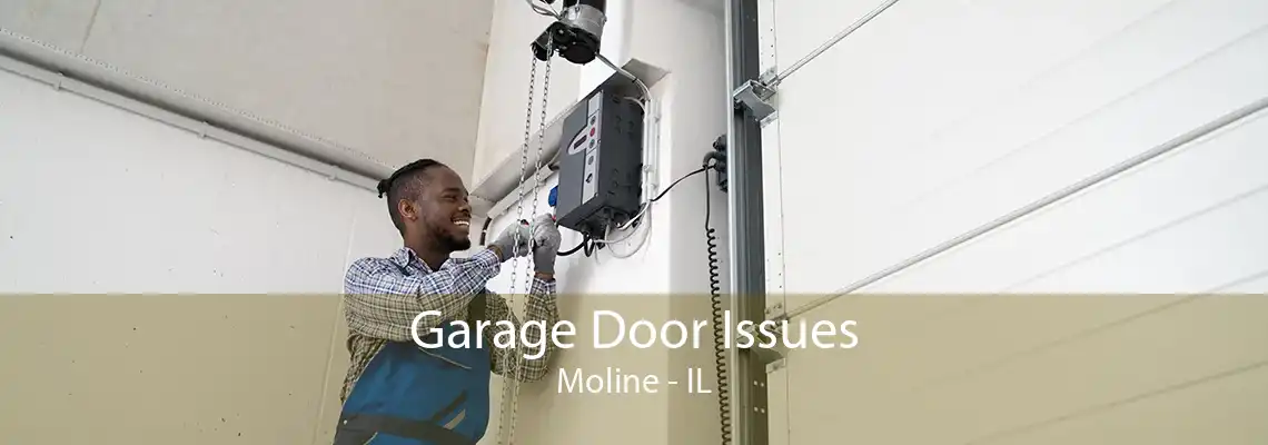 Garage Door Issues Moline - IL