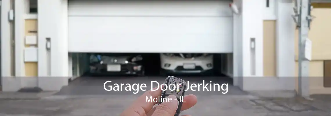 Garage Door Jerking Moline - IL