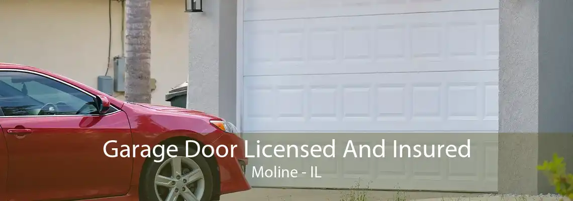 Garage Door Licensed And Insured Moline - IL