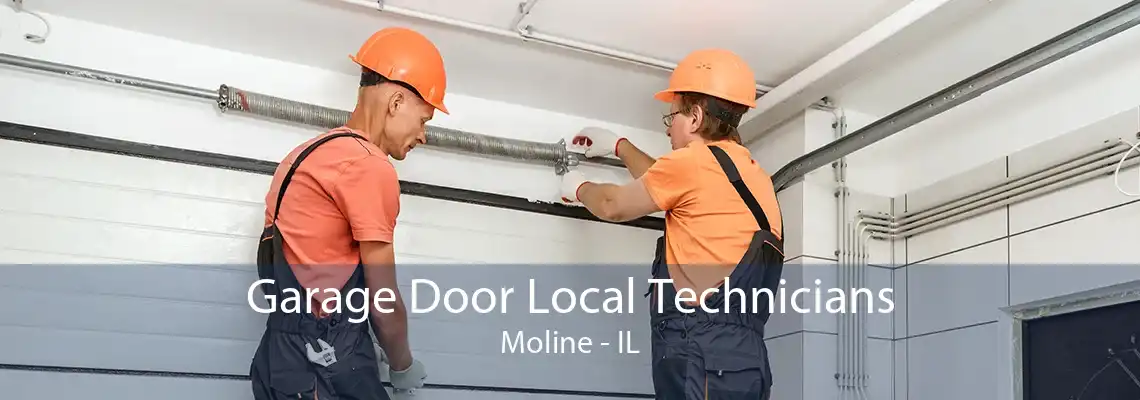 Garage Door Local Technicians Moline - IL