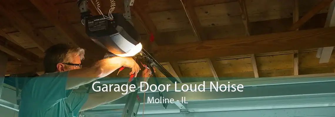 Garage Door Loud Noise Moline - IL