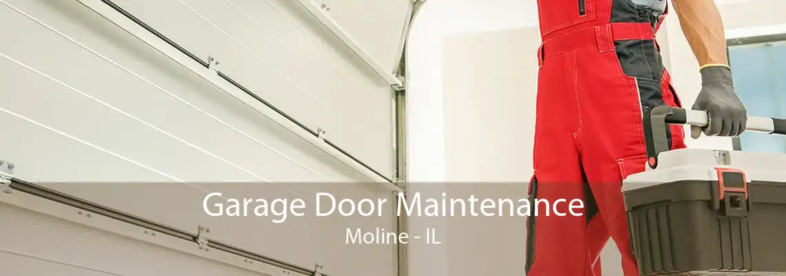 Garage Door Maintenance Moline - IL