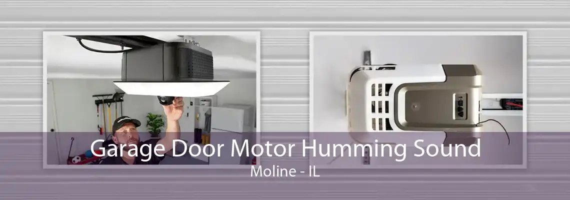 Garage Door Motor Humming Sound Moline - IL