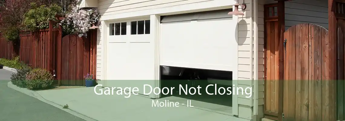 Garage Door Not Closing Moline - IL