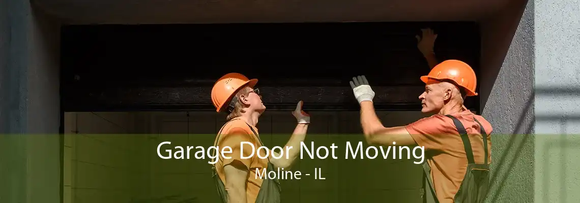 Garage Door Not Moving Moline - IL