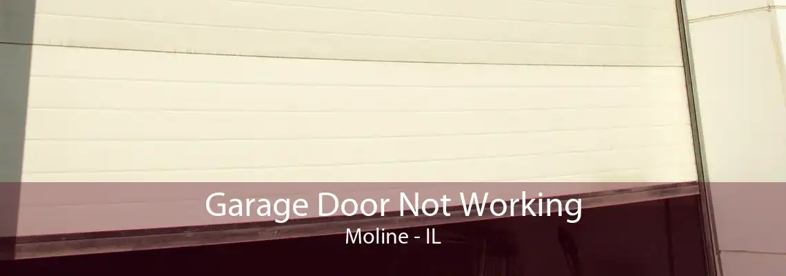 Garage Door Not Working Moline - IL