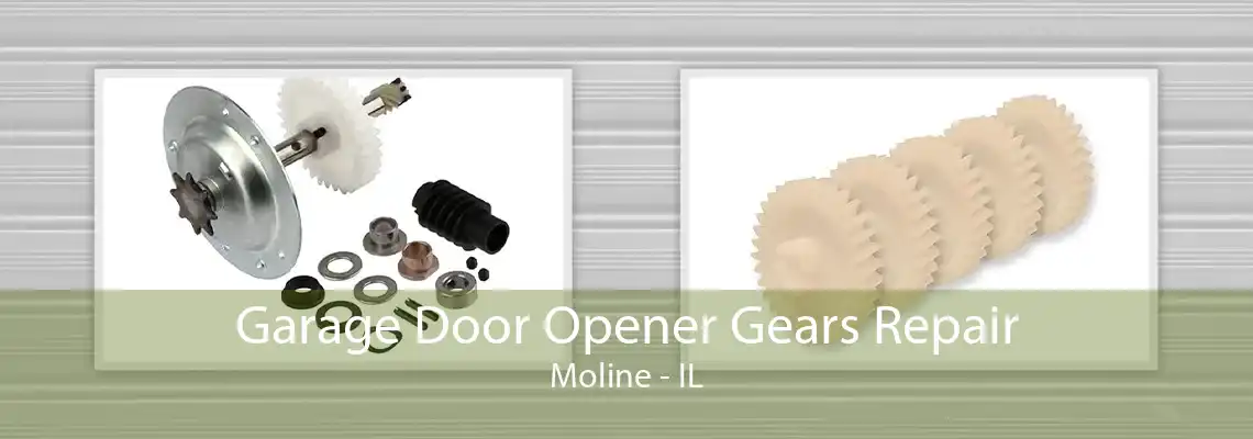 Garage Door Opener Gears Repair Moline - IL