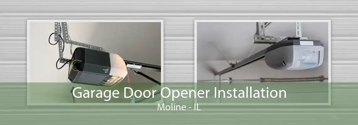 Garage Door Opener Installation Moline - IL