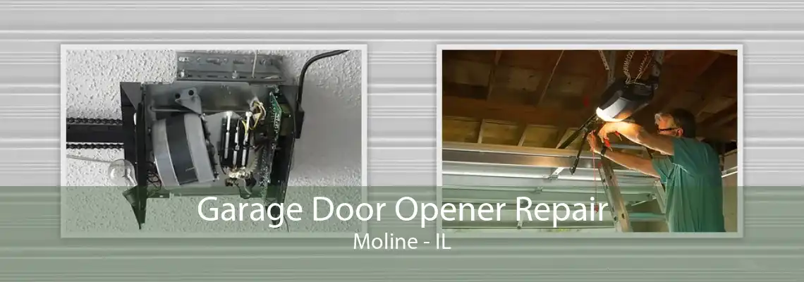 Garage Door Opener Repair Moline - IL