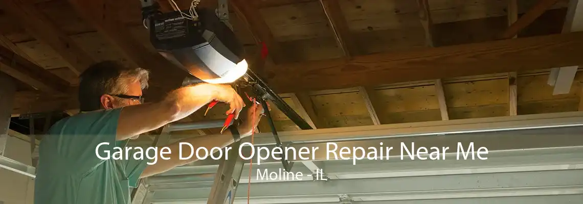 Garage Door Opener Repair Near Me Moline - IL