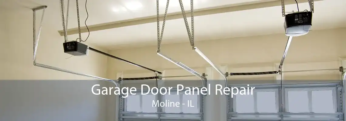 Garage Door Panel Repair Moline - IL