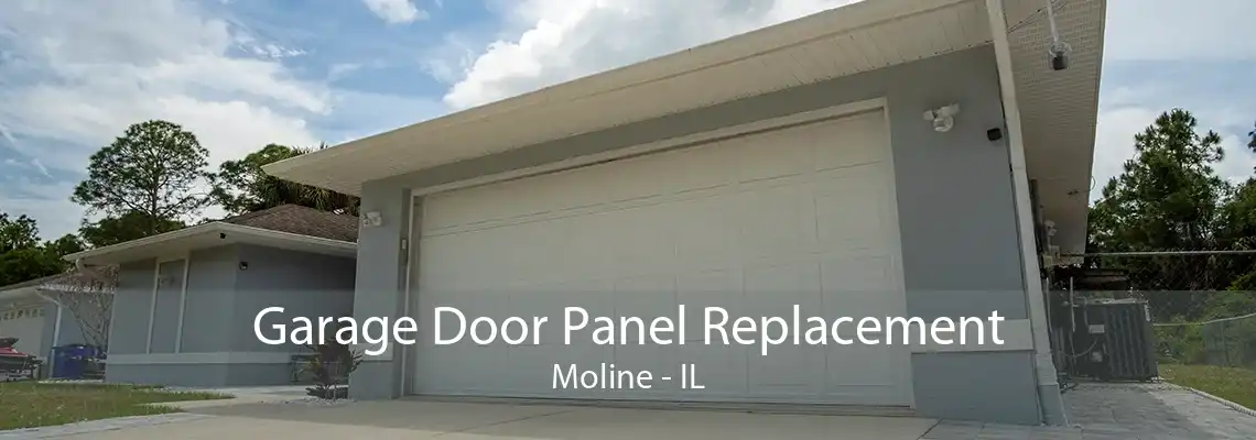 Garage Door Panel Replacement Moline - IL